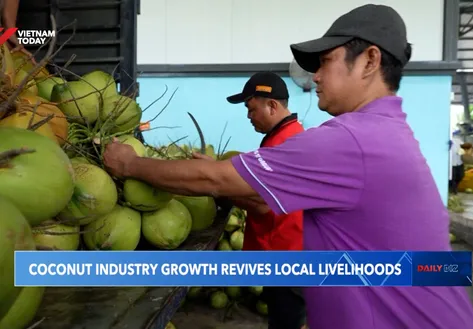 Coconut industry growth revives local livelihoods
