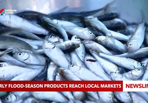 Early flood-season products reach local markets