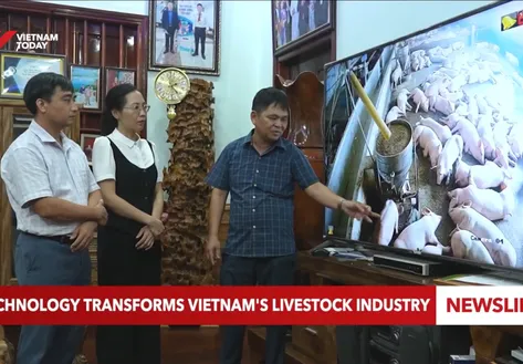 Technology transforms Vietnam's livestock industry
