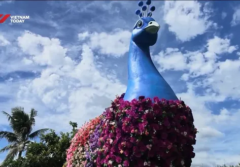 Flower festival brings highlands to coast