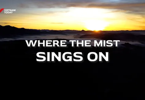 Where the mist sings on | Vibes of Vietnam