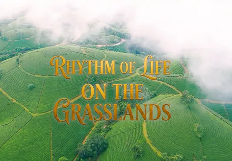 Rhythm of Life on the Grasslands | Vibes of Vietnam