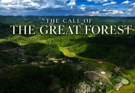 The call of the great forest | Vietnam Destination