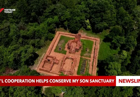 International Cooperation Helps Conserve My Son Sanctuary