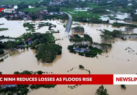 Flood recovery efforts and agricultural protection across northern provinces