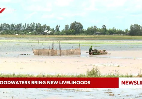 Floodwaters bring new livelihoods