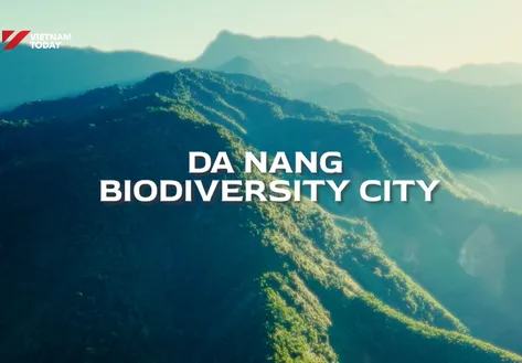 Danang Biodiversity City | Vibes of Vietnam