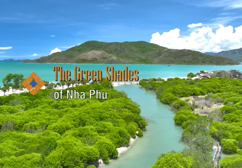 The green shades of Nha Phu | The Rhythms of Vietnam