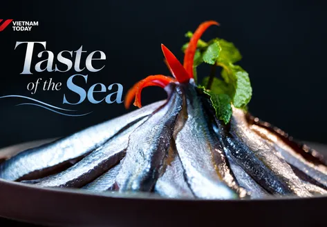 Taste of the Sea | Vietnam Destination