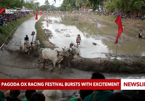 Ro Pagoda Ox Racing Festival bursts with excitement