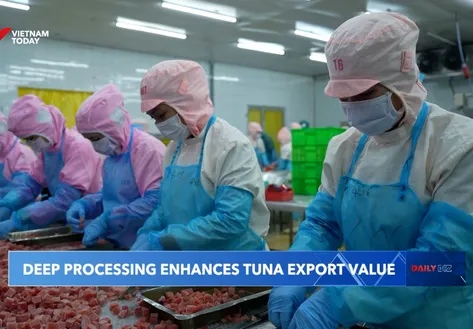 Deep processing enhances tuna export value