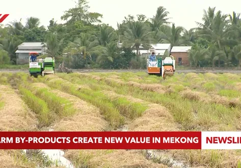 Farm by-products create new value in Mekong