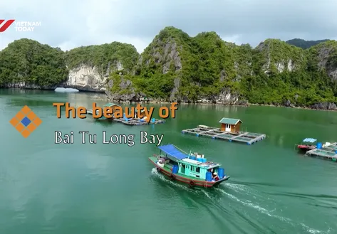 The Beauty of Bai Tu Long Bay | The Rhythms of Vietnam