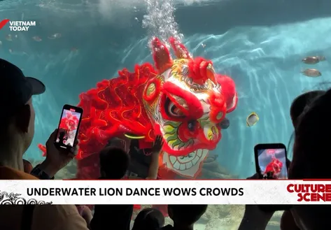 Underwater lion dance wows crowds