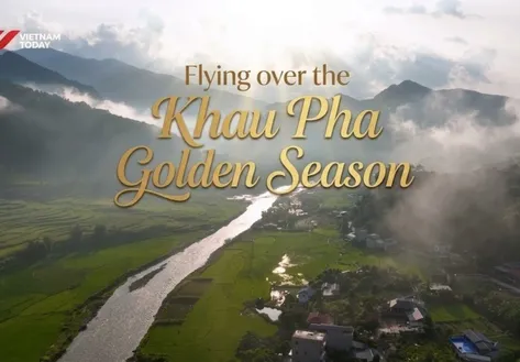 Flying over the Khau Pha Golden Season | Vibes of Vietnam