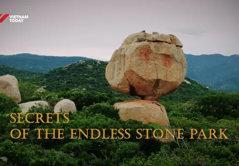 Secrets of the Endless Stone Park | Insights