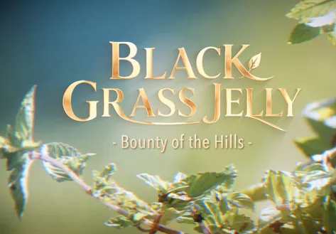 Black Grass Jelly - Bounty of The Hills | Local Towards Global