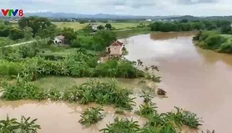 Lũ trên sông Bưởi dâng cao gây ngập 85 nhà dân