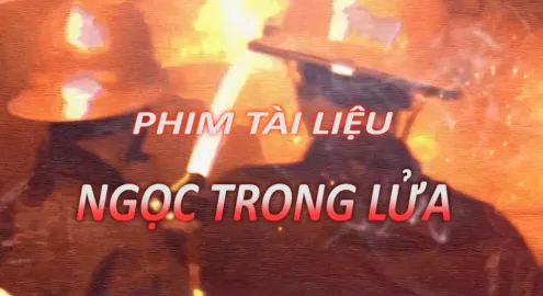 Phim tài liệu 