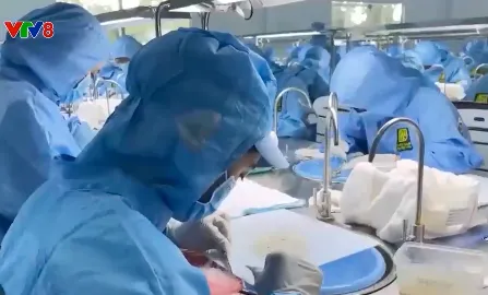 Cơ hội xuất khẩu yến chính ngạch sang Trung Quốc
