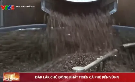 Đắk Lắk chủ động phát triển cà phê bền vững