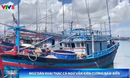 Ngư dân khai thác cá ngừ kiên cường bám biển