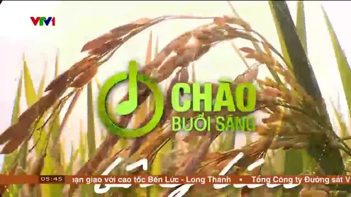 Chào buổi sáng - 22/10/2024