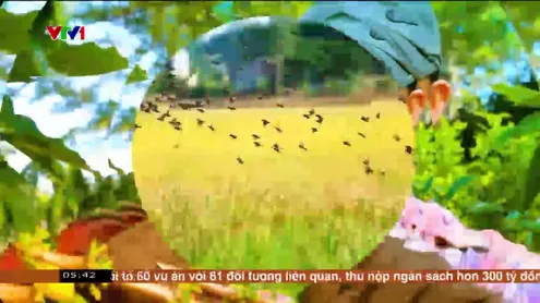 Chào buổi sáng - 22/11/2024