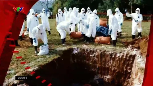 Vấn đề hôm nay - 29/4/2025