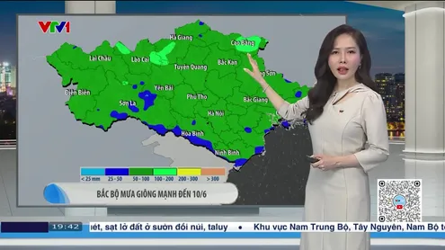 Bản tin thời tiết 19h45 - 08/6/2025