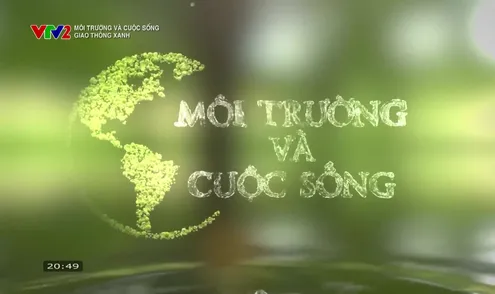 Môi trường và cuộc sống: Giao thông xanh
