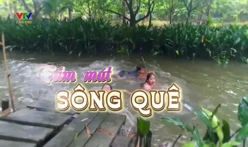 Ký ức miền Tây: Tắm mát sông quê