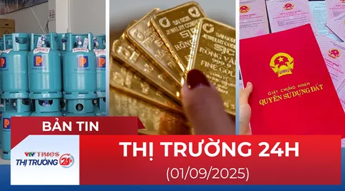 Bản tin Thị trường 24h ngày 1/9