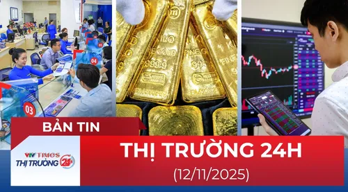 Bản tin Thị trường 24h ngày 12/11