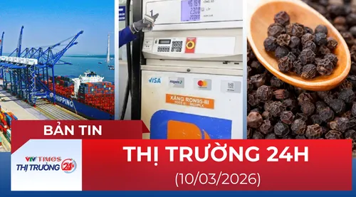 Bản tin Thị trường 24h ngày 10/03/2026