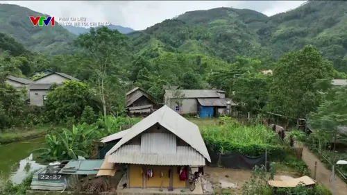 Phim tài liệu: Bà tôi, mẹ tôi, chị em tôi