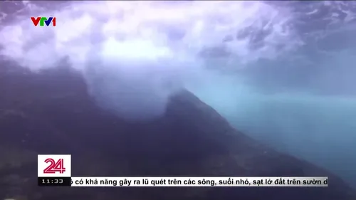 Hạt vi nhựa - mối nguy hiểm giấu mặt