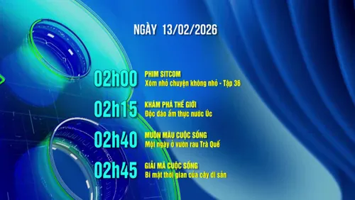 Lịch phát sóng trên kênh VTV8 - 13/02/2026