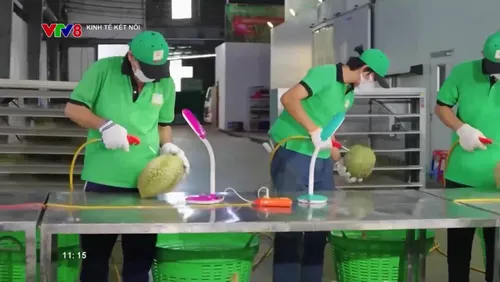 Kinh tế kết nối - Phát sóng 11h20 ngày 05/03/2026, trên kênh VTV8