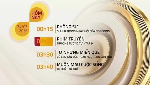 Lịch phát sóng kênh VTV8 - Ngày 24/03/2026