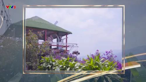 Kết nối VTV8 số 09: Gia Lai – Điểm hẹn Năm Du lịch Quốc gia 2026 cùng hàng loạt tin tức văn hóa, du lịch các địa phương 