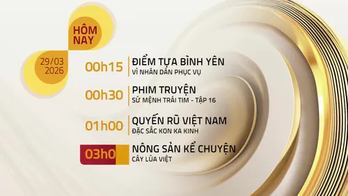 Lịch phát sóng chương trình trên VTV8 - 29/03/2026