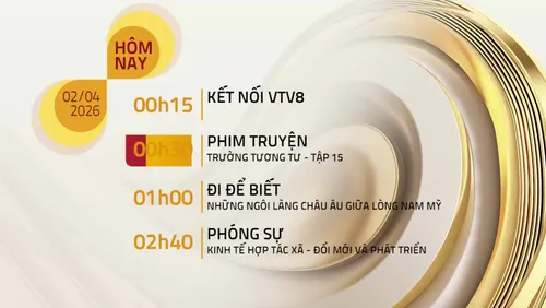 Lịch phát sóng chương trình trên VTV8 ngày 02/04/2026