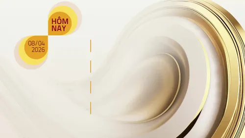 Lịch phát sóng chương trình trên VTV8 ngày 08/04/2026