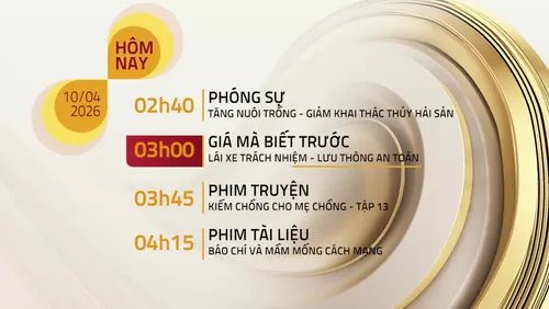 Lịch phát sóng chương trình trên VTV8 ngày 10/04/2026