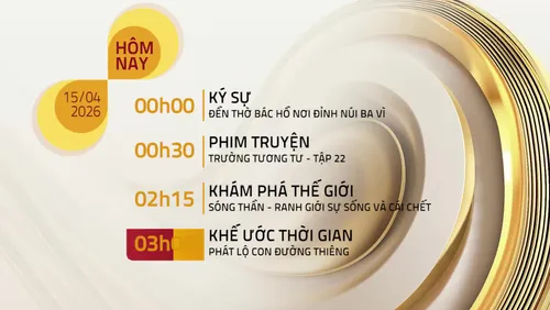 Lịch phát sóng trên VTV8 - 15/04/2026