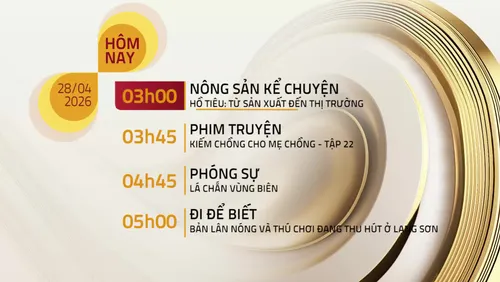 Lịch phát sóng trên VTV8 ngày 28/04/2026