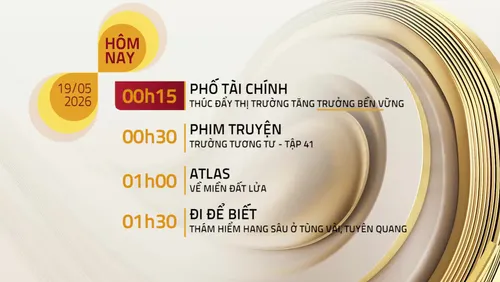 Lịch phát sóng kênh VTV8 ngày 19/05/2026