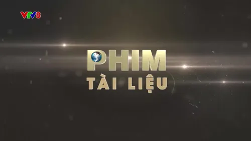 Phim tài liệu: Tử tế với biển