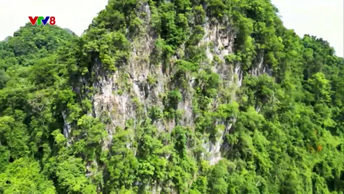 Thiên nhiên hoang dã Phong Nha - Kẻ Bàng - Phần 6